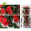 FLV6-2 GNW artificial hanging ivy flower making guangzhou wholesaler for wedding decoration