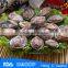 frozen abalone meat with shell