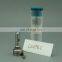ERIKC L221PBC oil pump nozzle BEBE4C00001 L221PBD diesel injector nozzle L221 PBC auto parts fuel injector nozzle