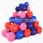 Workout  Set Dumbbells Plastic Coated Colored Dumbbells Dip Plastic Dumbbells