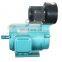 50hz 60hz 70hz 80hz three phase induction torque motor