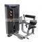 Gym commercial strength machine equipment in gym fitnessgerate equipo de gym for Back Extension