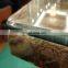 China factory 6mm tempered glass price per square meter