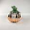 interior Rustic Office Living farm house gold modern nordic ceramic cactus figurine statue for home decor