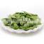 Sinocharm Taiwan 75 IQF Soybean Frozen Edamame