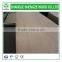 birch plywood, okoume plywood, plywood price,plywood sheet