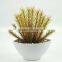 wholesale cheap artificial succulent plants for home decoration