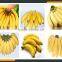 Leader plantain peeler Whatsapp:+8618336073732