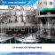 Automaitc Carbonated Bottle Filling Machine / Plant
