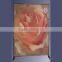 Adjustable Exhibition Display Panel