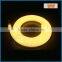 5M 300LEDs 24V 12V LED Neon Flex Digital Programmable led neon flex light