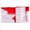 Promotion Feather Flag Flying Flags and Banners