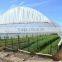 solar hydroponic greenhouse