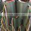 New Roller Shutter Motor/DC24V Roll up Shutter Side Motor