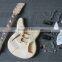 Weifang Rebon 12 string Unfinished DIY Electric Guitar Kit/guitar kit