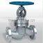 Stainless Steel Globe Control Valve PN16