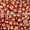 Organic Raw Fresh Chestnut Chinese bulk chestnuts price
