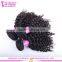 High quality peruvian hair weft tangle free shedding free wholesale pure kinky curly 14 inch peruvian hair