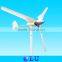 Complete corporate structure new type garden wind power