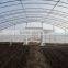 large multi-span commercial agriculture greenhouse