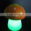 PVC colorchanging mushroom magic light