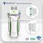 Double Handles Cryolipolysis Fat FreezeSlimming Cool Sculpting Machine For Home Use Lose Weight