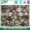 Delicious frozen shiitake mushroom new season