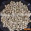 blanched peanut kernel from shandong factory