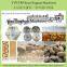 TVP/TSP Soya protein food soya nuggets food machine