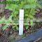 Plastic Plant Tags / Garden Plant Labels