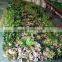 fake wall decoration artificial green plant wall