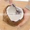 cheap stainless steel coconut grater metal shredder coconut shredder spiral slicer