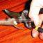 Stainless steel BY-pass Pruners
