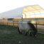 Livestock Shelter , Multi-purpose Shelter , storage Shelter , Cattle storage Shelter