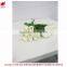 Hot selling tulip for home decoration pieces and Valentine's day gift flower