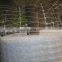 Using Horticultural Netting (aka Crop Netting) to Trellis Pole Beans