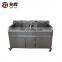 Hot sale stainless steel blueberry fruit washing machine lemon washer