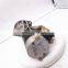 Starter 4JB1 JAC JMC 4JB1 diesel engine Starter 3708100AA