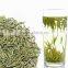 Traditional Yellow tea,Famous brand and tasty,Junshanyinzhen Yellow Tea