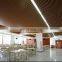 2020 New PVDF coating outdoor perforated aluminum false ceiling for building decoration