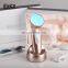 FF0356 best handheld red blue Led therapy light acne treatment equipment for acne removal LED beauty device
