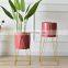 Manufacturing Wholesale Supplies Artifical Metal Gold Stand Indoor Plant Pots Flower