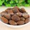 High quality Malva Nuts from Vietnam with Best price