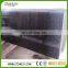 High Quality Black Galaxy Granite Slabs