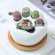 Simple White Creative Succulents Ceramic Cute Kitten Claw Treetop Planter Bamboo Stand Combination Potted Flowerpot