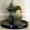 Luxurious sea shell tray decorative tray for shelves, coffee tables Wholesale
