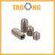 High Quality DIN 916 Hex Socket Drive Stainless Steel Set Screw Grub Screw Cup Cone Point