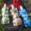 hot sale brand collapsible water bottle with carabiner