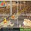 Modern BIRDSITTER poultry raising broiler automatic chicken feeding system
