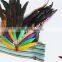 Fashion Carnival Costume Showgirl Feather Headdress